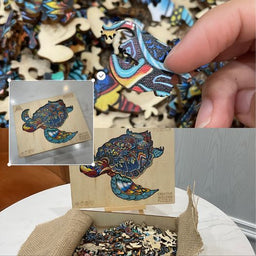 15.jpg__PID:1d0d9245-7b20-4b4a-b765-4d226619e89a