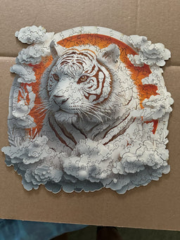 hEtGn-dKN_mid.jpg__PID:10dc4e6c-e701-4104-b7f6-9f7057ccd51a